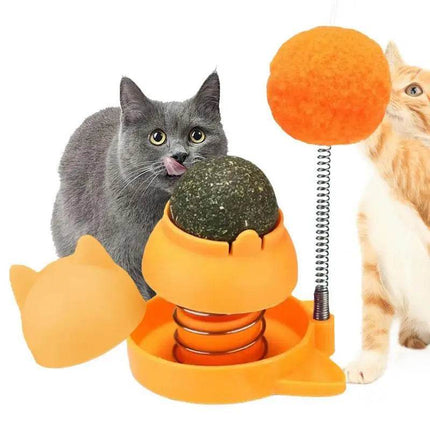 Rotatable Cat Catnip Ball Toys Pet Essentials - Pet Essentials - Legendog - Mad Fly Essentials