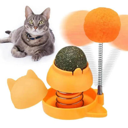 Cat Catnip Ball Toys Pet Essentials - Mad Fly Essentials