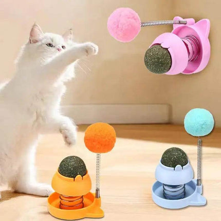 Rotatable Cat Catnip Ball Toys Pet Essentials - Pet Essentials - Legendog - Mad Fly Essentials