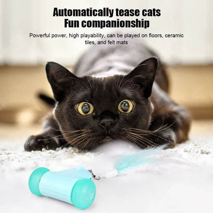Mouse Cat Sensor Toy Pet Essentials - Mad Fly Essentials