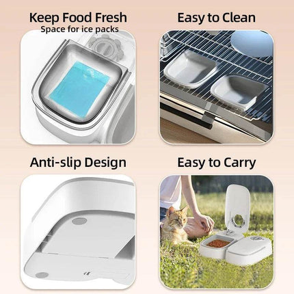 Smart 2 Meal Automatic Cat Feeder Pet Essentials - Pet Essentials - Pupca - Mad Fly Essentials