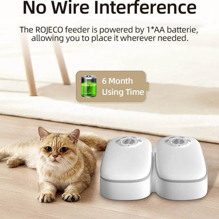 Smart 2 Meal Automatic Cat Feeder Pet Essentials - Pet Essentials - Pupca - Mad Fly Essentials