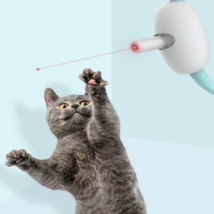 Smart laser Cat Chasing USB Toy Pet Essentials - Pet Essentials - Mr Meow Hoopet - Mad Fly Essentials