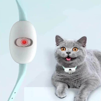 Smart laser Cat Chasing USB Toy Pet Essentials - Pet Essentials - Mr Meow Hoopet - Mad Fly Essentials