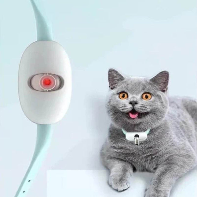 Smart laser Cat Chasing USB Toy Pet Essentials - Pet Essentials - Mr Meow Hoopet - Mad Fly Essentials