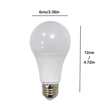 Storage Solutions Secret Light Bulb Container - Storage Solutions - 001 - Mad Fly Essentials
