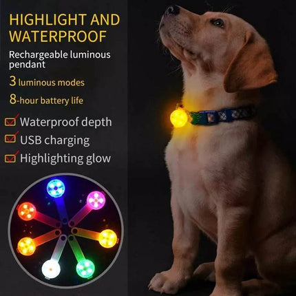 USB - Rechargeable Dog Anti - Lost LED Collar Pet Essentials - Pet Essentials - Pet Essentials - Mad Fly Essentials