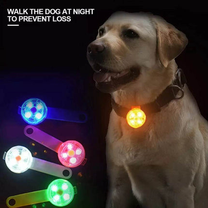 USB - Rechargeable Dog Anti - Lost LED Collar Pet Essentials - Pet Essentials - Pet Essentials - Mad Fly Essentials