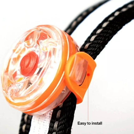 USB-Rechargeable Dog Anti-Lost LED Pet Collars - Mad Fly Essentials