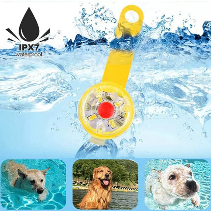 USB-Rechargeable Dog Anti-Lost LED Pet Collars - Mad Fly Essentials