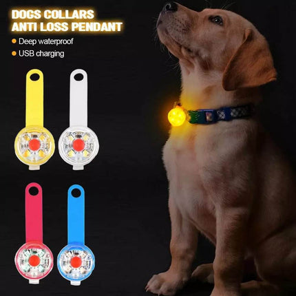 USB - Rechargeable Dog Anti - Lost LED Collar Pet Essentials - Pet Essentials - Pet Essentials - Mad Fly Essentials