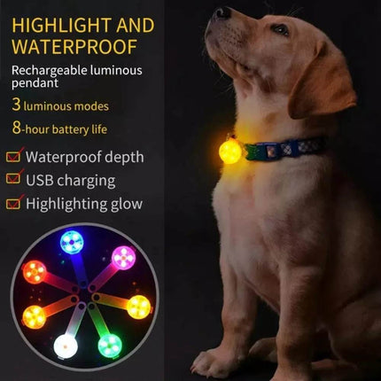 Dog Anti-Lost LED Collar Pet Essentials - Mad Fly Essentials