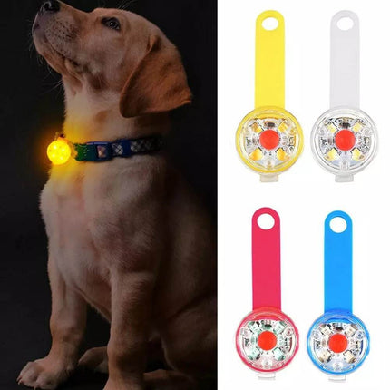 USB - Rechargeable Dog Anti - Lost LED Collar Pet Essentials - Pet Essentials - Pet Essentials - Mad Fly Essentials