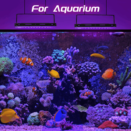 UV Black Light 50-150W Outdoor LED floodlight - Mad Fly Essentials