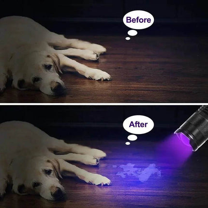 UV Portable 365/395nm Black Mini LED Flashlight - LED Flashlight - Sanyi - Mad Fly Essentials