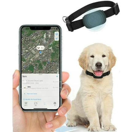 Waterproof Animal Tracker Dog Cat GPS Pet Essentials - Pet Essentials - PETRAVEL - Mad Fly Essentials
