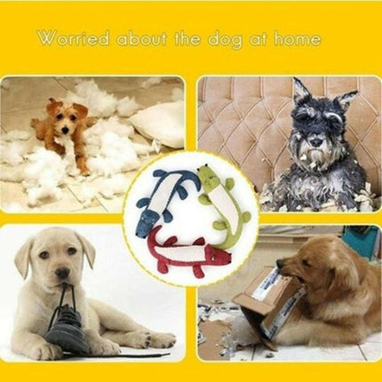 Dog Plush Pet Training Toys - Pet Care Mad Fly Essentials