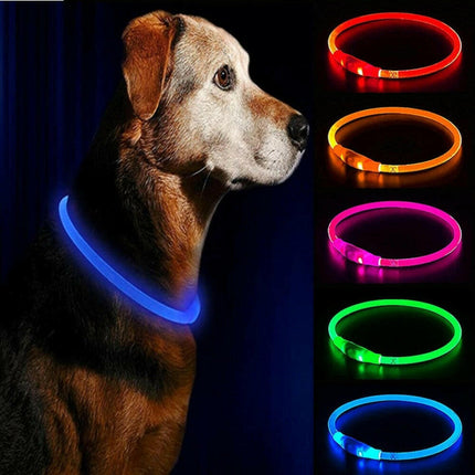 LED-USB Charging Luminous Pet Dog Collar - Pet Care Mad Fly Essentials