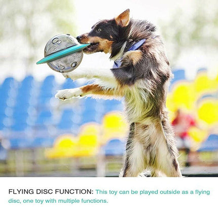 Benepaw Pet Interactive Dog Toys Treat Dispenser - Mad Fly Essentials
