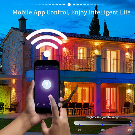 LED Reflector RGB Smart Outdoor Spotlight - Lighting & Bulbs Mad Fly Essentials