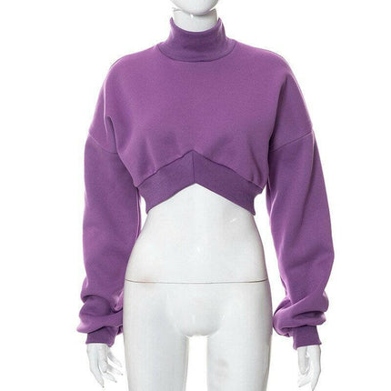 OMSJ Women's Shop Purple / S Women Hoodies Purple Turtleneck Long Sleeve Pullover Sweatshirt