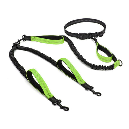 PETLOVEY Super Deals 2in1-Green Pet Dog Adjustable Leash Bungee Harness