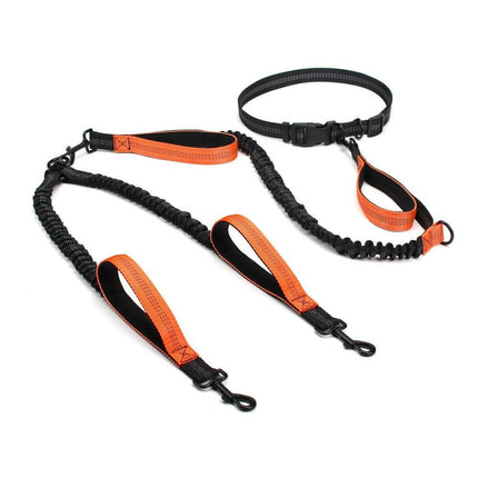 PETLOVEY Super Deals 2in1-Orange Pet Dog Adjustable Leash Bungee Harness