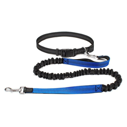 PETLOVEY Super Deals Blue Pet Dog Adjustable Leash Bungee Harness
