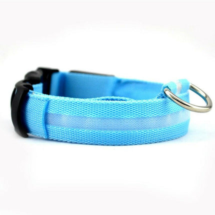 PetZone Super Deals Wire Mesh Blue / XS 28-38cm Pet Dog Safety LED Flashing Collar