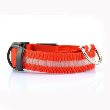 PetZone Super Deals Wire Mesh Red / XS 28-38cm Pet Dog Safety LED Flashing Collar