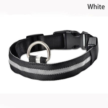 PetZone Super Deals Wire Mesh White / XS 28-38cm Pet Dog Safety LED Flashing Collar